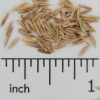 Big Bluegrass - Image 2