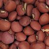 Cowpea