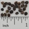 Rocky Mountain Beeplant - Image 2